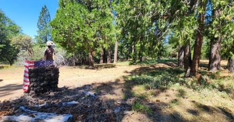 3614 N Railroad Flat Rd, Wilseyville, CA 95257 Photo