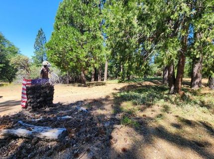 3614 N Railroad Flat Rd, Wilseyville, CA 95257 Photo