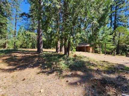 3614 N Railroad Flat Rd, Wilseyville, CA 95257 Photo