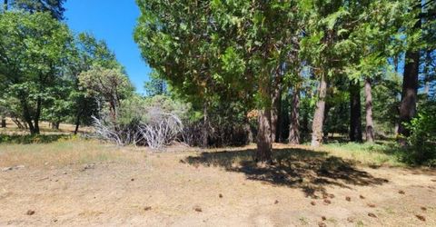 3614 N Railroad Flat Rd, Wilseyville, CA 95257 Photo