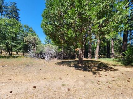3614 N Railroad Flat Rd, Wilseyville, CA 95257 Photo