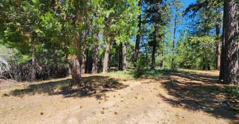 3614 N Railroad Flat Rd, Wilseyville, CA 95257 Photo