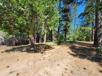 3614 N Railroad Flat Rd, Wilseyville, CA 95257 Photo