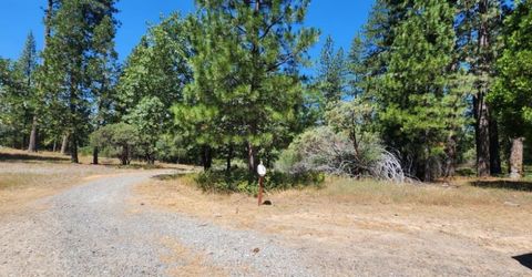 3614 N Railroad Flat Rd, Wilseyville, CA 95257 Photo