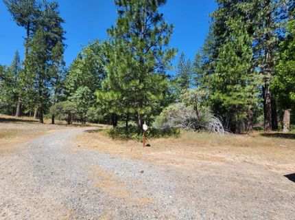 3614 N Railroad Flat Rd, Wilseyville, CA 95257 Photo