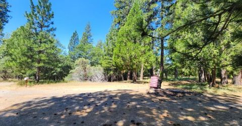 3614 N Railroad Flat Rd, Wilseyville, CA 95257 Photo