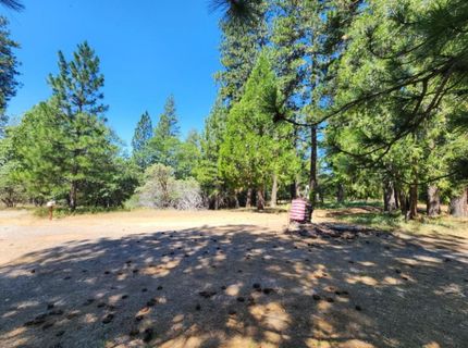 3614 N Railroad Flat Rd, Wilseyville, CA 95257 Photo