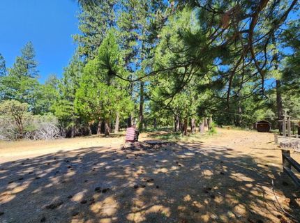 3614 N Railroad Flat Rd, Wilseyville, CA 95257 Photo