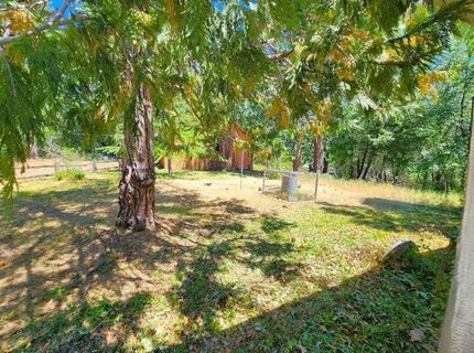3614 N Railroad Flat Rd, Wilseyville, CA 95257 Photo