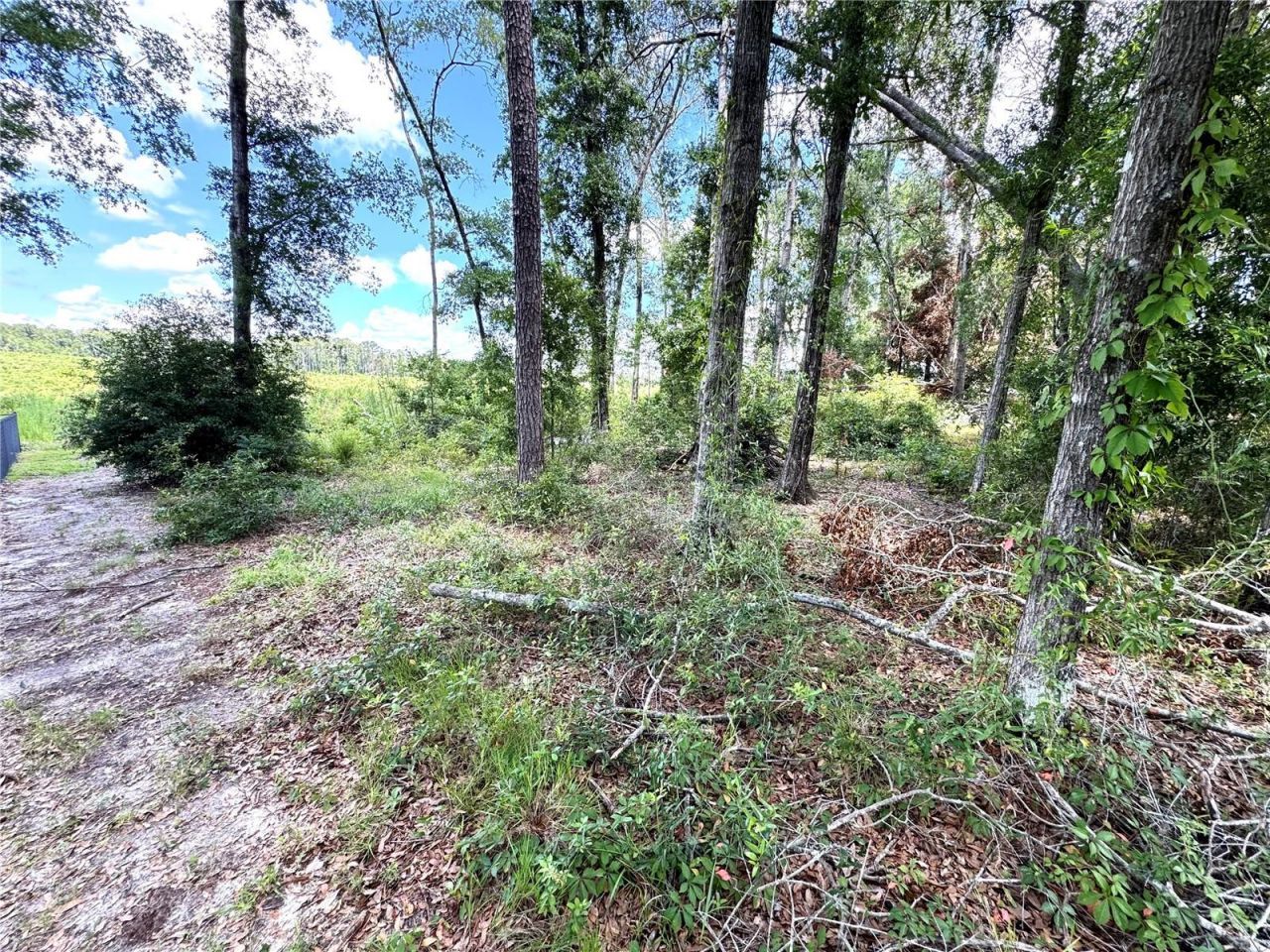 571 NW Zack Drive, Lake City, FL 32055 Photo
