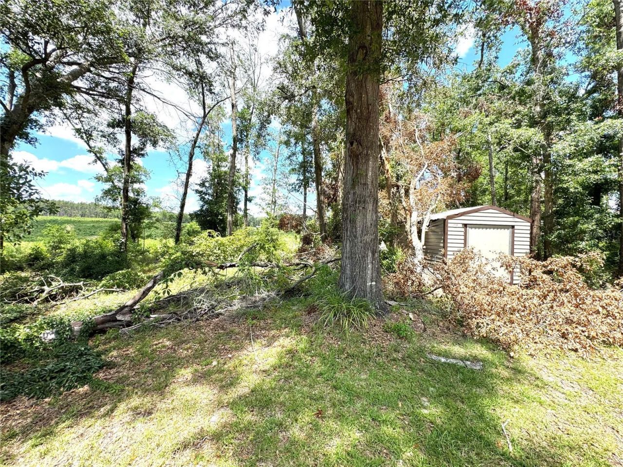571 NW Zack Drive, Lake City, FL 32055 Photo