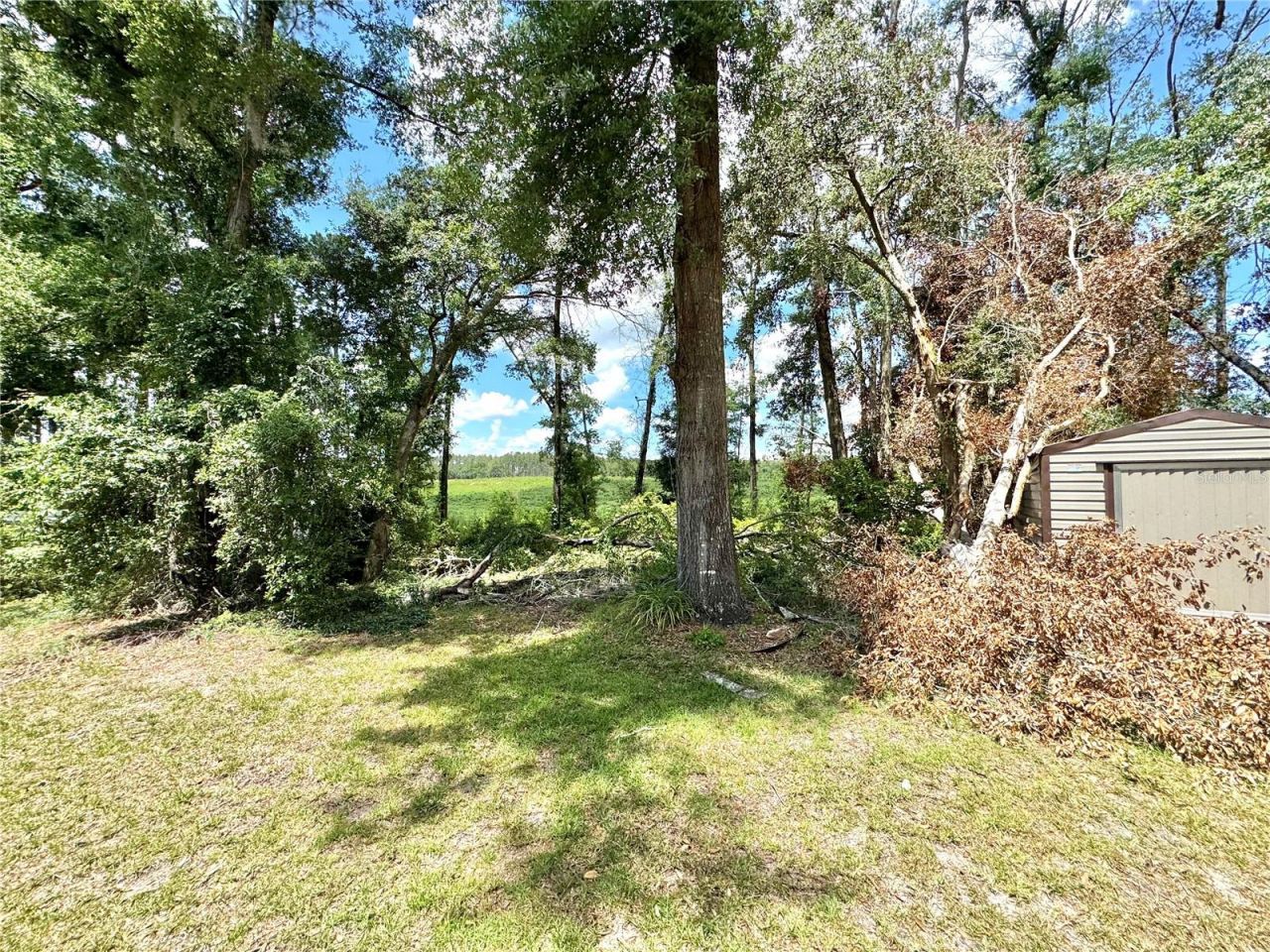571 NW Zack Drive, Lake City, FL 32055 Photo