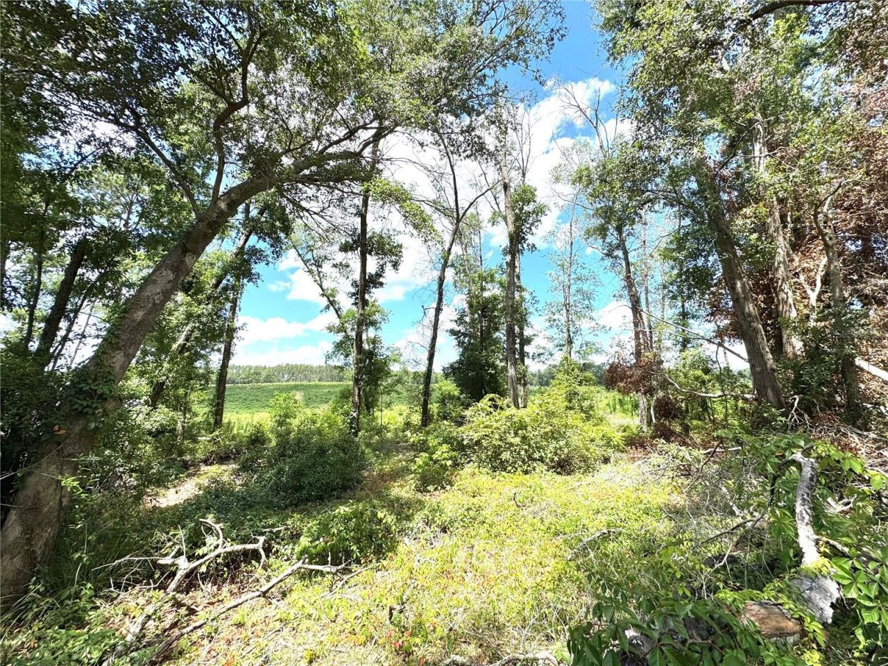 571 NW Zack Drive, Lake City, FL 32055 Photo
