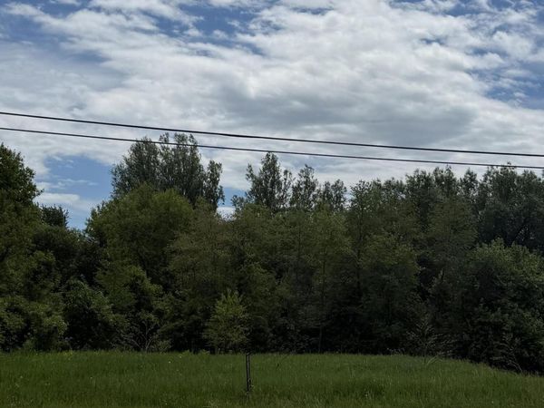 00 Town Line RD, Pickford, MI 49774