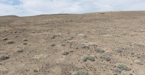 021-451-49 Hwy 95a, Lot #021-451-49, Fernley, NV 89408 Photo