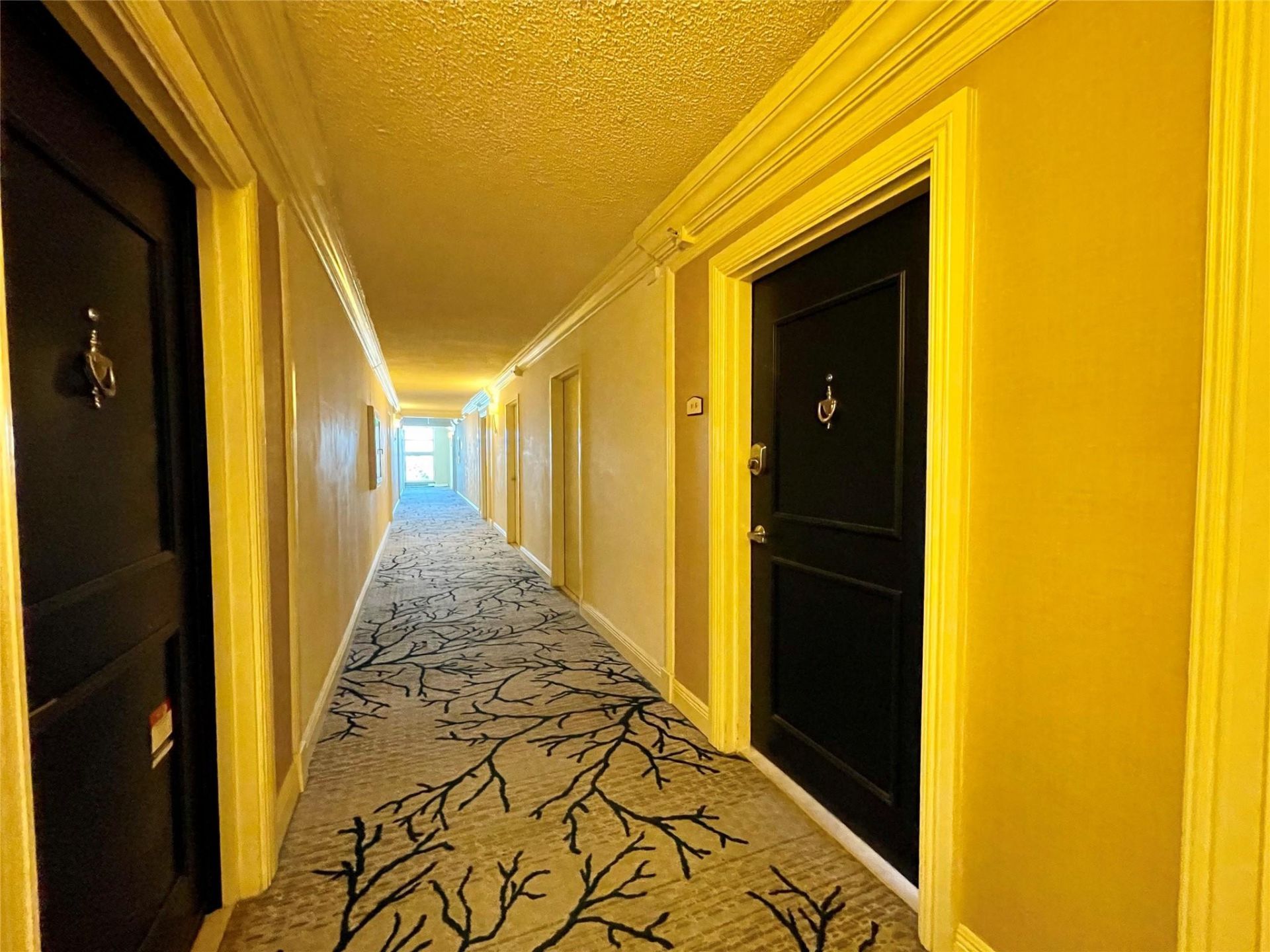 1900 S Ocean Boulevard, Unit 10g, Lauderdale by the Sea, FL 33062 Photo