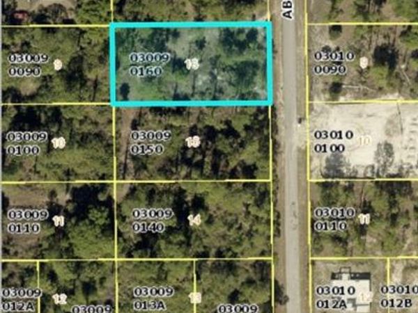 807 Abbott AVE , LEHIGH ACRES, FL 33972