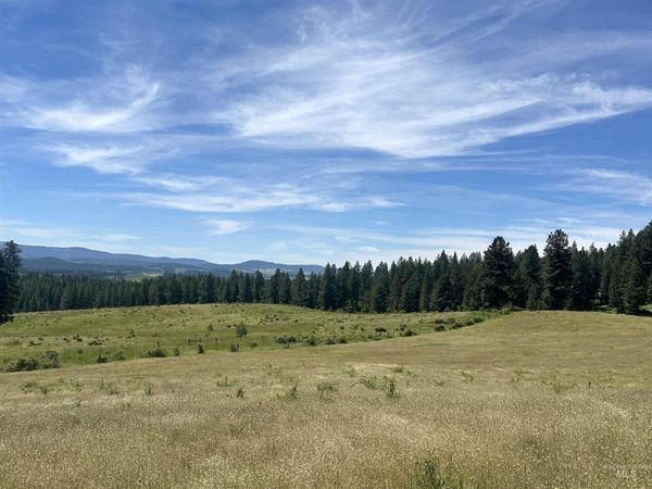 TBD 10 +/- AC Gold Hill, Princeton, ID 83857