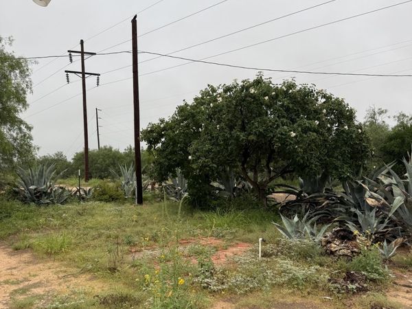 512 COMMUNITY RD, Carrizo Springs, TX 78834