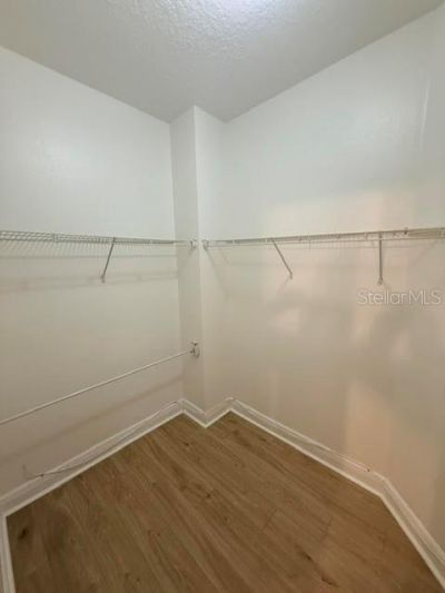4205 Blue Major Drive, Windermere, FL 34786 Photo