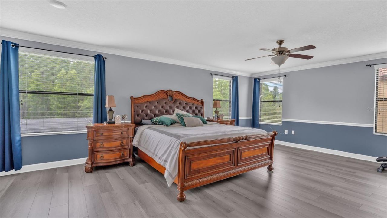 19265 Umberland Place , Land O Lakes, FL 34638 Photo
