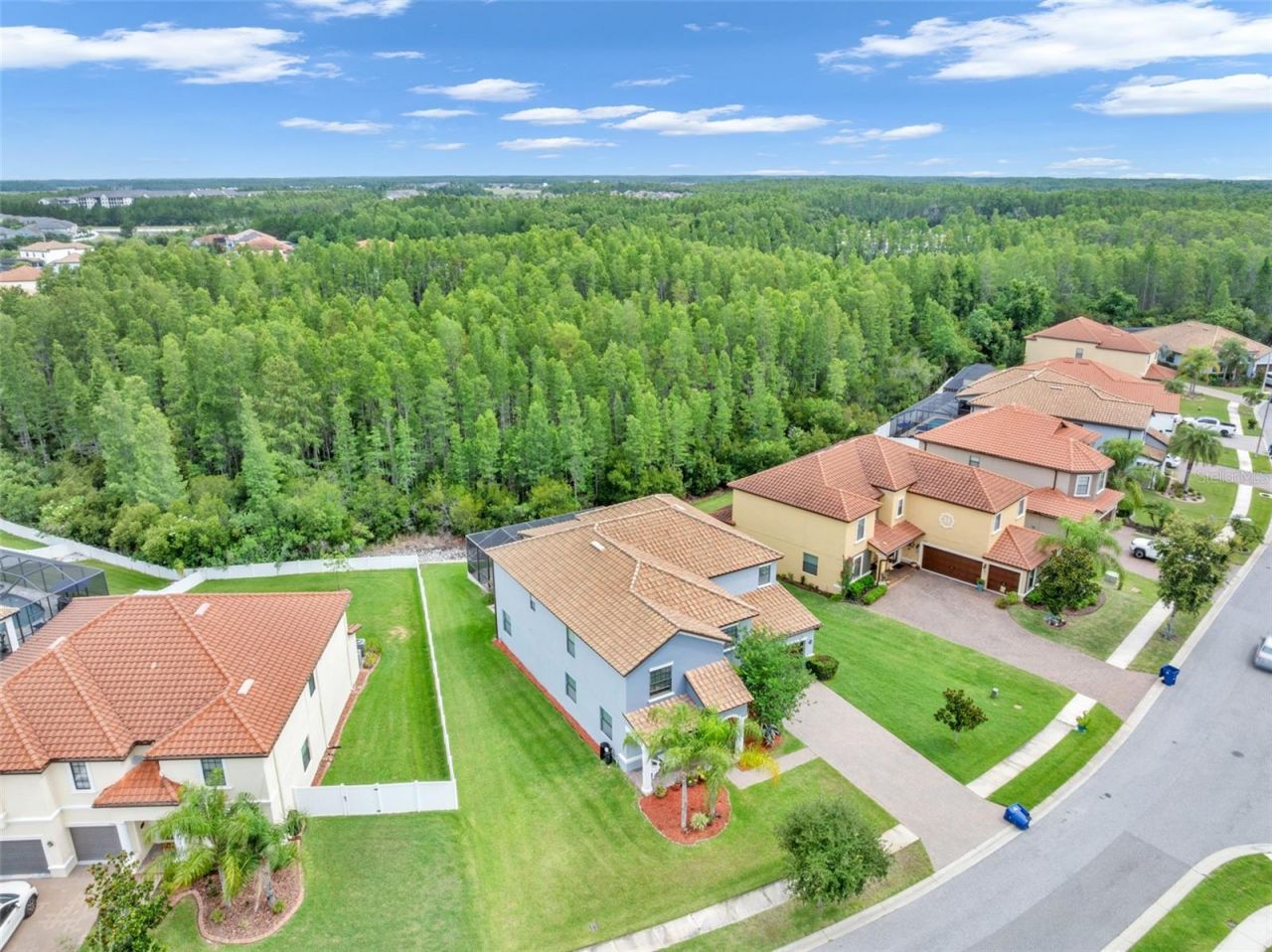 19265 Umberland Place , Land O Lakes, FL 34638 Photo