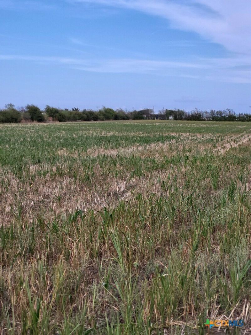 1701 W Fm 487, Jarrell, TX 76537 Main Photo