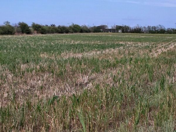 1701 W FM 487, Jarrell, TX 76537