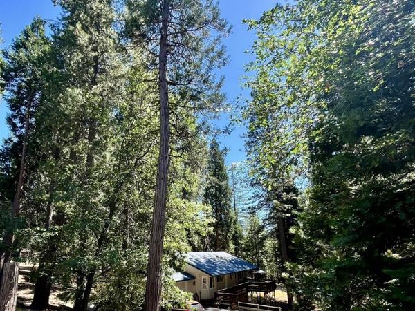 5635 Azalea Cir, Pollock Pines, CA 95726