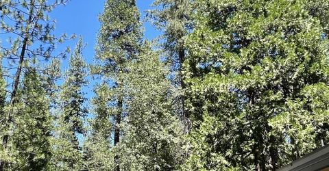 5635 Azalea Cir, Pollock Pines, CA 95726 Photo