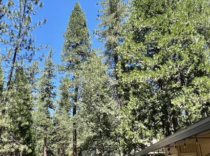 5635 Azalea Cir, Pollock Pines, CA 95726 Photo