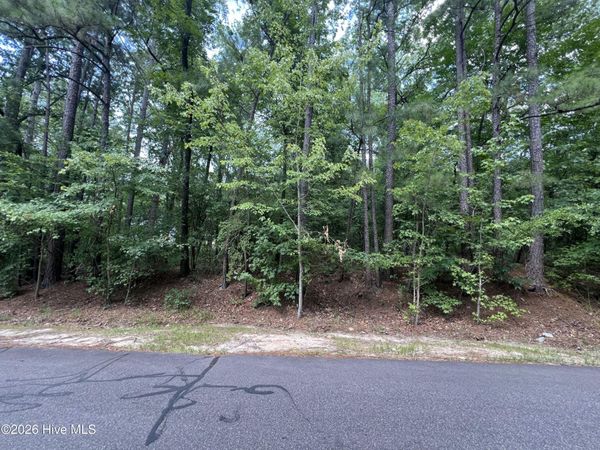 307 Thimbleberry Drive , Vass, NC 28394