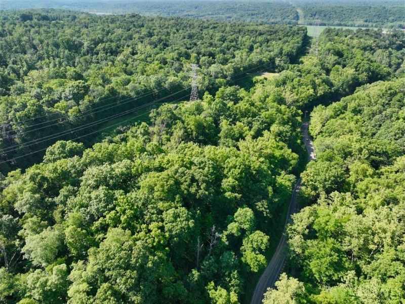 ac Dry Run Road, Milford, OH 45150 Photo 6
