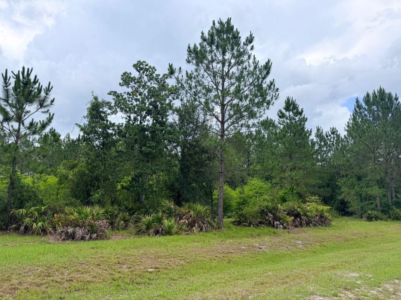 790 NW 42 Terrace, Chiefland, FL 32626 Photo