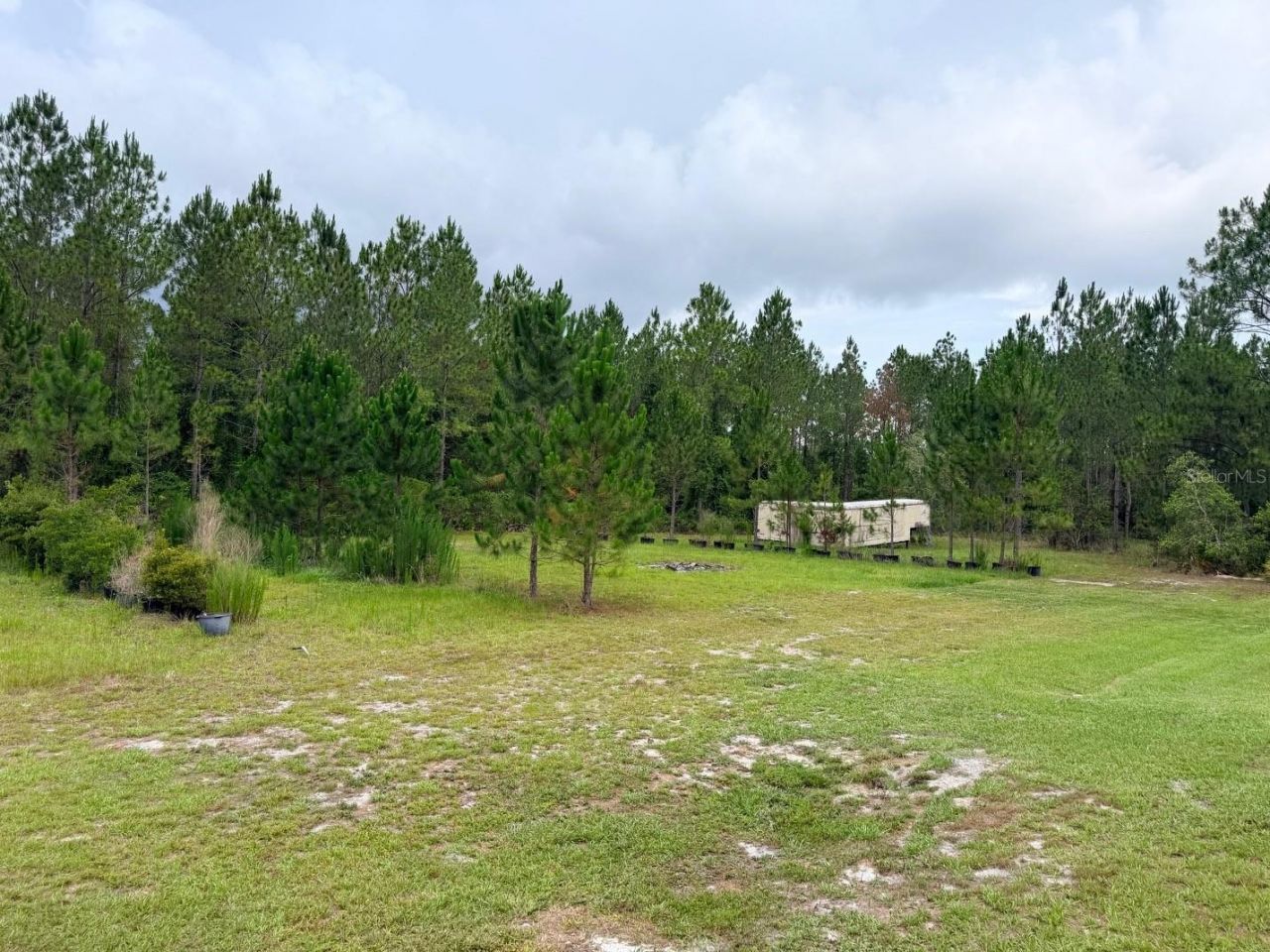 790 NW 42 Terrace, Chiefland, FL 32626 Photo