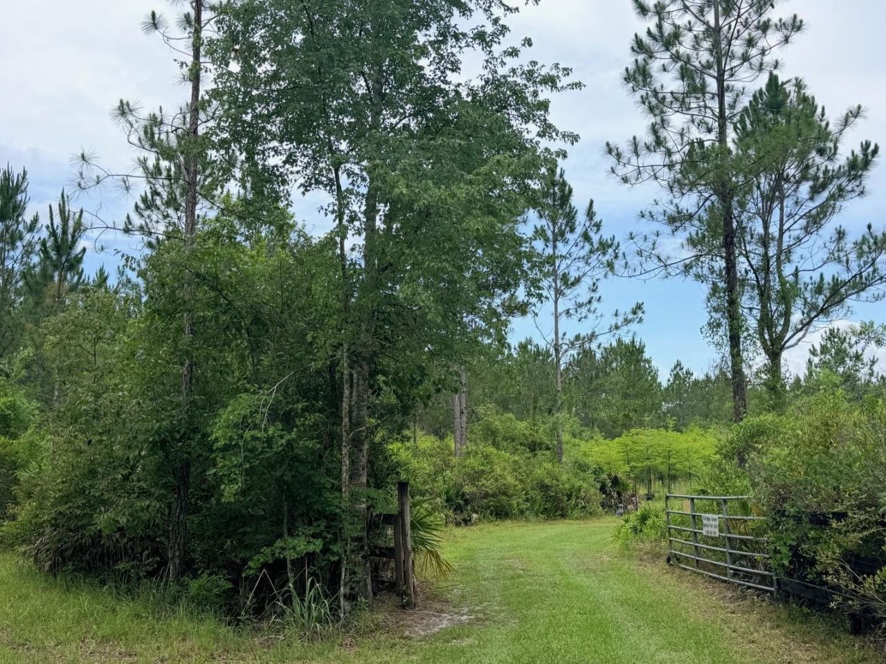790 NW 42 Terrace, Chiefland, FL 32626 Photo