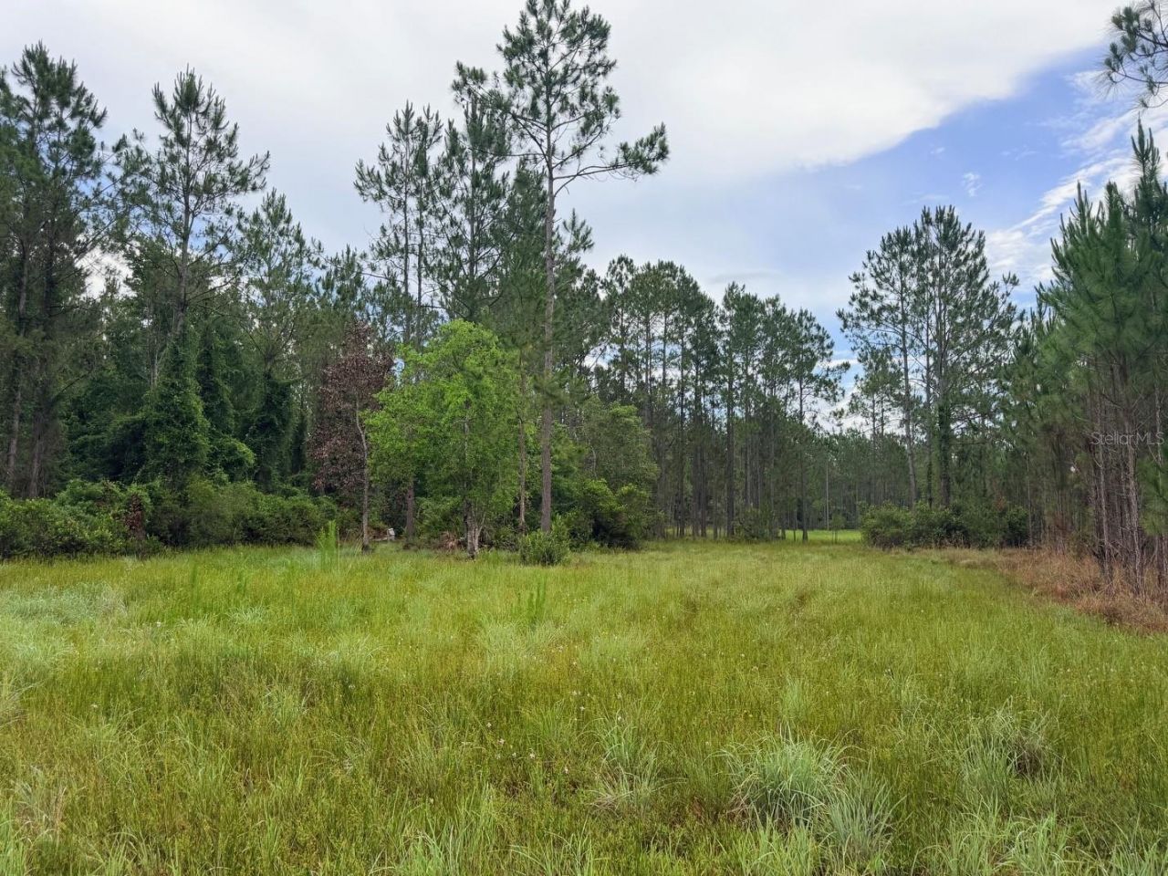 790 NW 42 Terrace, Chiefland, FL 32626 Photo