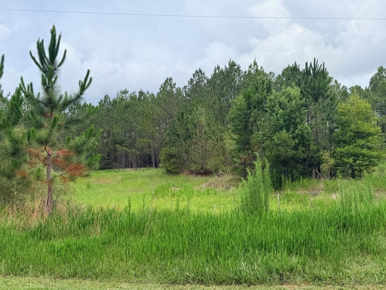 790 NW 42 Terrace, Chiefland, FL 32626 Photo