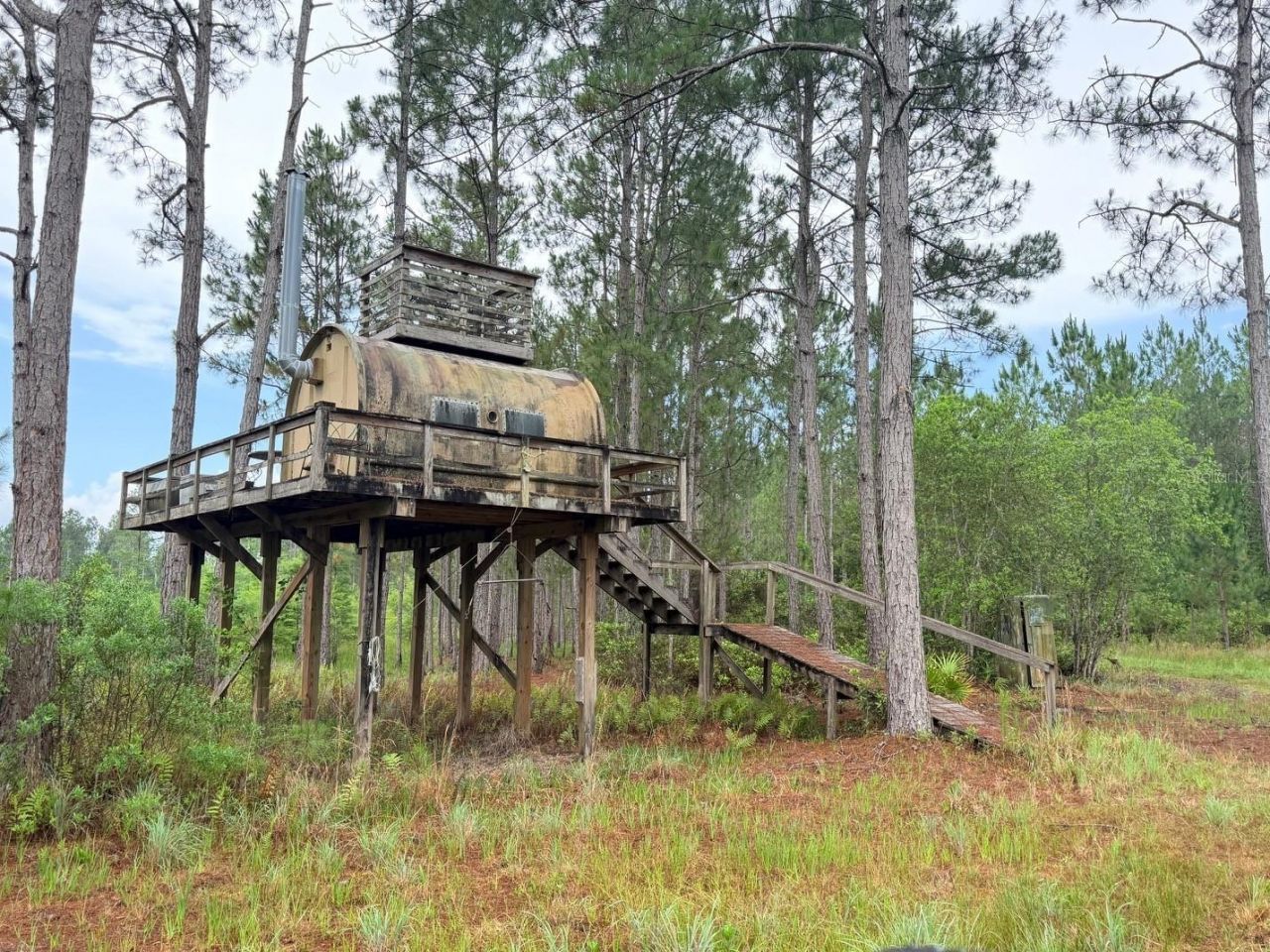 790 NW 42 Terrace, Chiefland, FL 32626 Photo