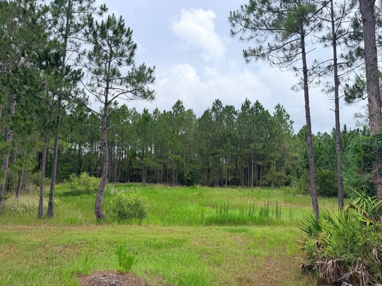 790 NW 42 Terrace, Chiefland, FL 32626 Photo