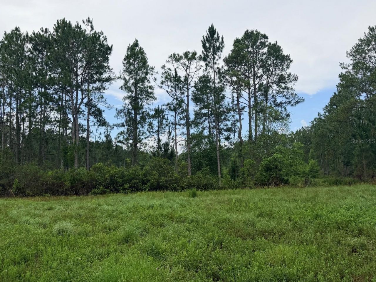 790 NW 42 Terrace, Chiefland, FL 32626 Photo
