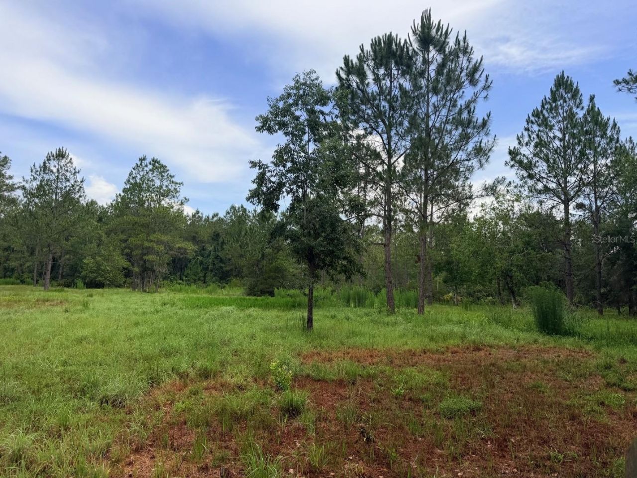 790 NW 42 Terrace, Chiefland, FL 32626 Photo