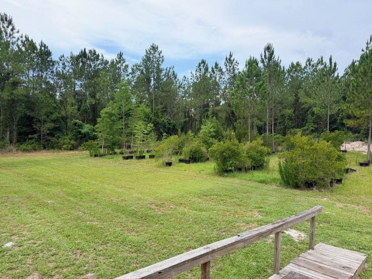 790 NW 42 Terrace, Chiefland, FL 32626 Photo