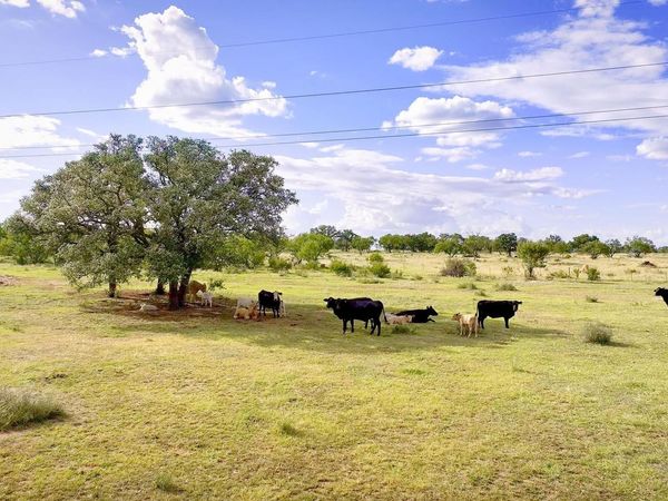 TBD 12119 W Highway 29 Highway, Llano, TX 78643