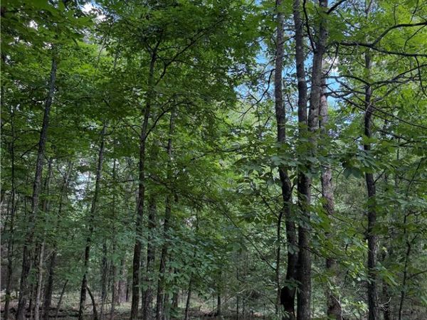 TBD Madison 6376 , Elkins, AR 72727