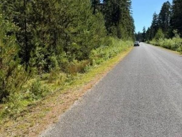 Lot 3 Palmer Rd , Errington, BC V0R 1M0
