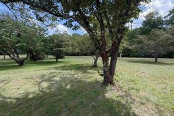 3048 Timrod Road  photo 4