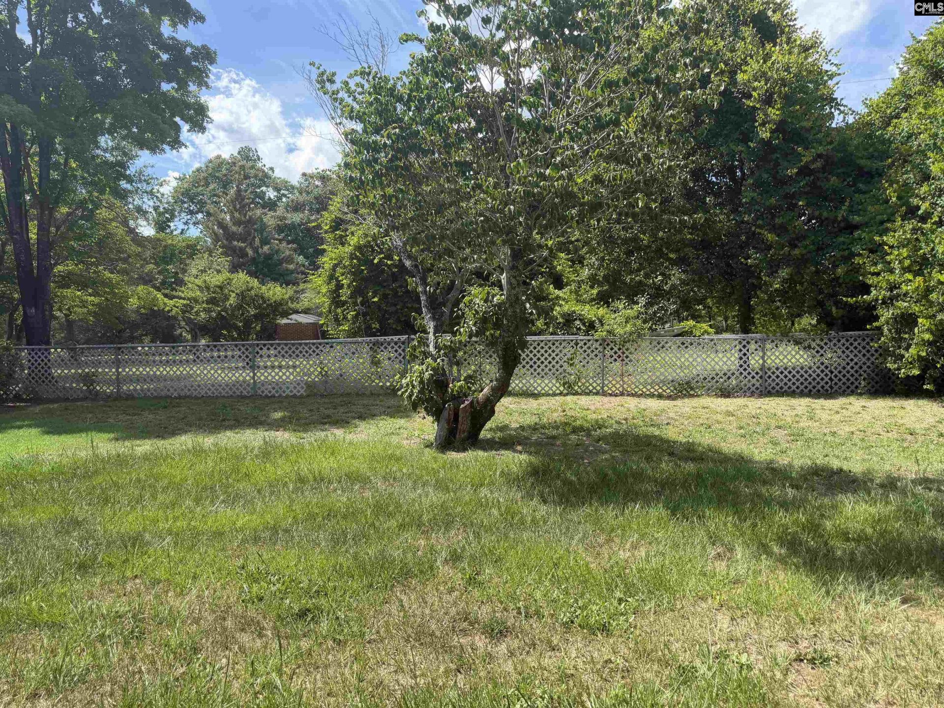 3048 Timrod Road  Photo 26