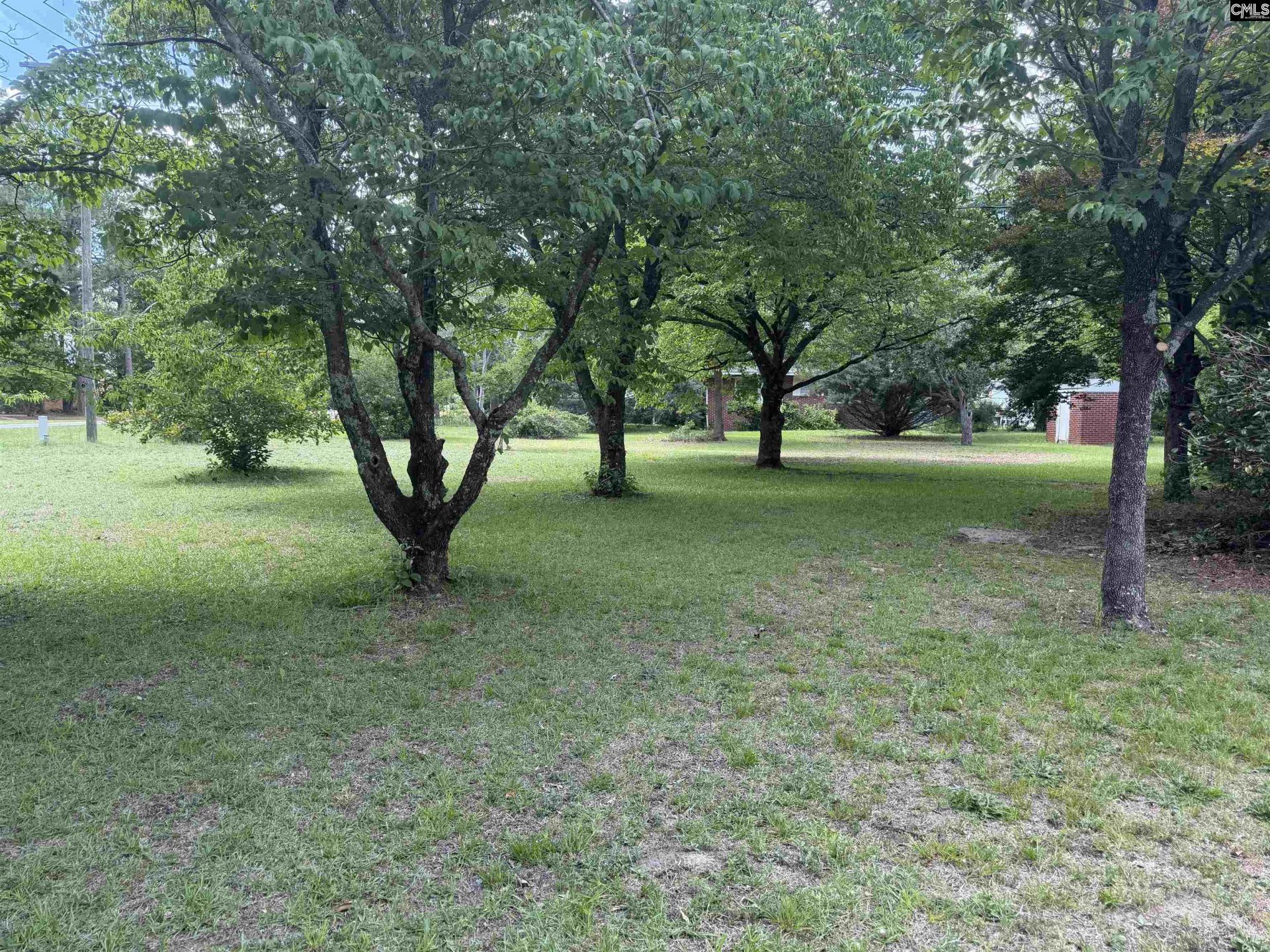 3048 Timrod Road  Photo 4