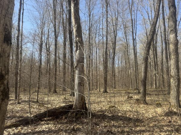 tbd Sandtown RD, Engadine, MI 49827